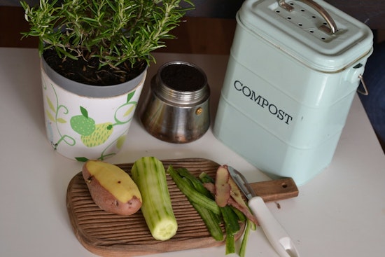 Dunedin Offers Free Compost Bins to Residents Who Complete Online Course in Sustainability Push