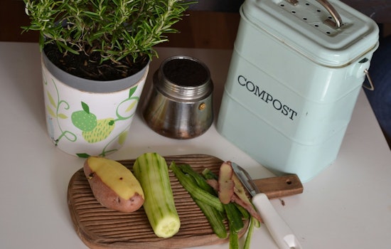 Dunedin Offers Free Compost Bins to Residents Who Complete Online Course in Sustainability Push