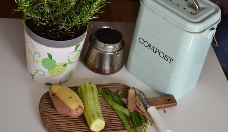 Dunedin Offers Free Compost Bins to Residents Who Complete Online Course in Sustainability Push