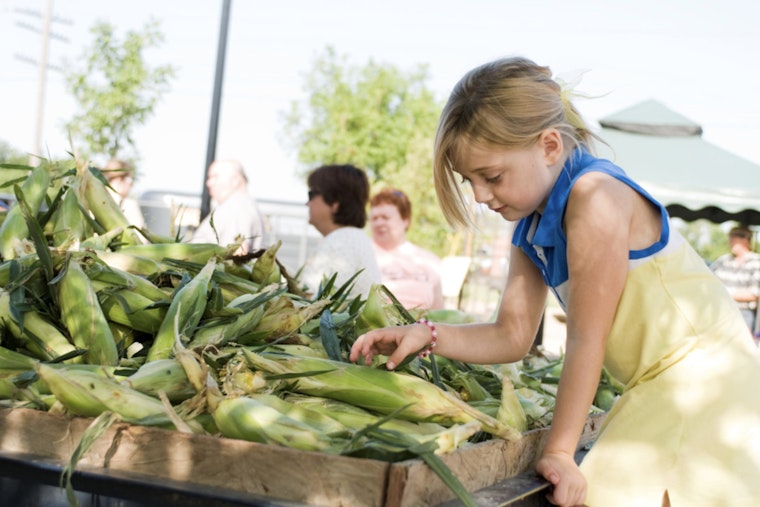 Edmond Farmer's Market Wraps Up 22nd Season as Expansion and Winter Market Plans Unfold