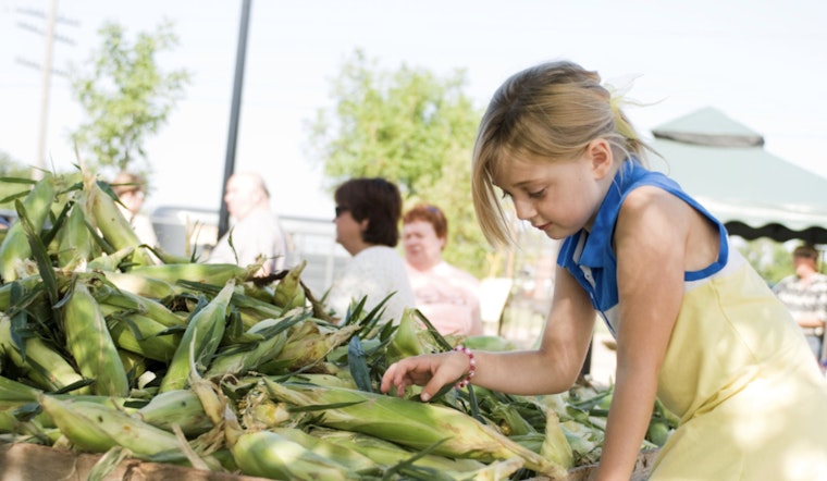 Edmond Farmer's Market Wraps Up 22nd Season as Expansion and Winter Market Plans Unfold
