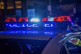 Eight Arrested Following Violent Brawl at Lake Winterset, Polk County Officials Report