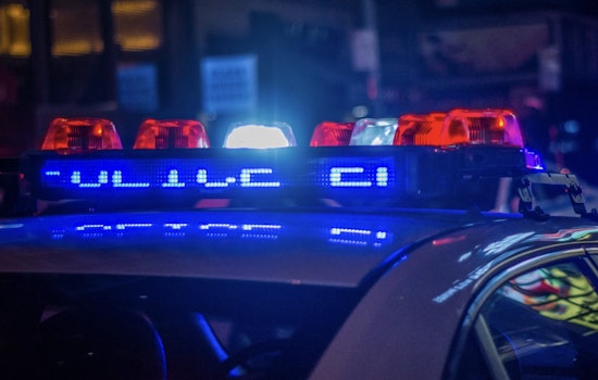 Eight Arrested Following Violent Brawl at Lake Winterset, Polk County Officials Report