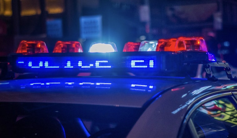 Eight Arrested Following Violent Brawl at Lake Winterset, Polk County Officials Report