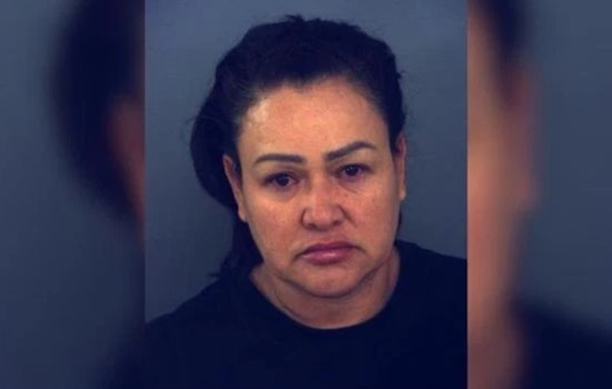 El Paso County Woman Charged After Her Pit Bulls Severely Maul 60-Year-Old San Elizario Man