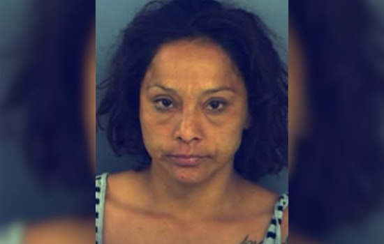 El Paso Woman Arrested and Charged in Connection with $70,000 Truck Theft and Hit-and-Run