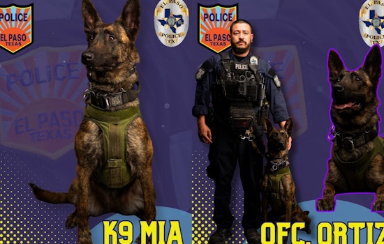 El Paso's Only Female K9, "La Tóxica", Showcased for Exceptional Service in Law Enforcement