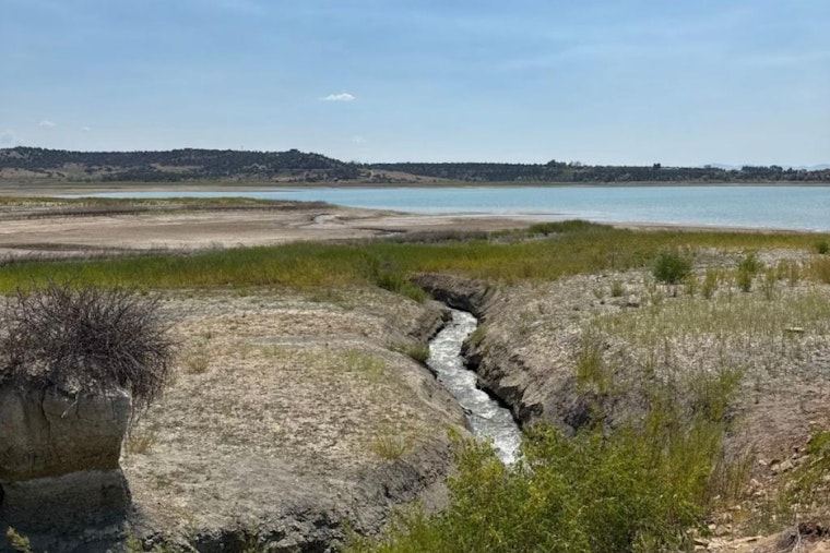 Emergency Fish Salvage Initiated at Narraguinnep Reservoir in Montezuma County Amid Dam Modification Project