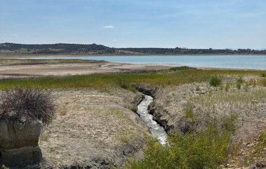 Emergency Fish Salvage Initiated at Narraguinnep Reservoir in Montezuma County Amid Dam Modification Project