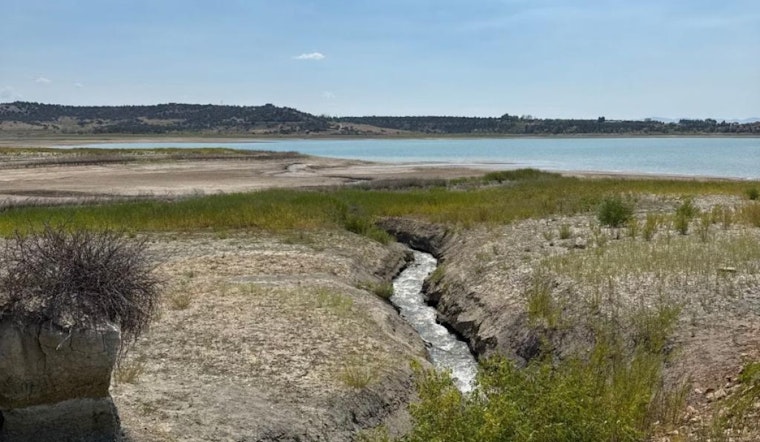 Emergency Fish Salvage Initiated at Narraguinnep Reservoir in Montezuma County Amid Dam Modification Project