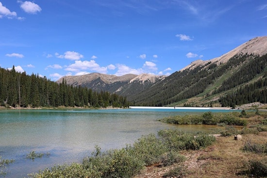Environmental Crisis at Grizzly Reservoir: CPW Investigates Mass Fish Die-Off in Colorado