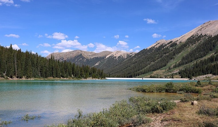 Environmental Crisis at Grizzly Reservoir: CPW Investigates Mass Fish Die-Off in Colorado