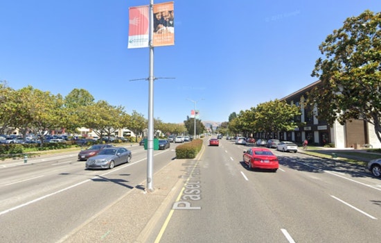 Fatal Pedestrian Collision on Fremont's Paseo Padre Parkway, Police Urge Witnesses to Step Forward
