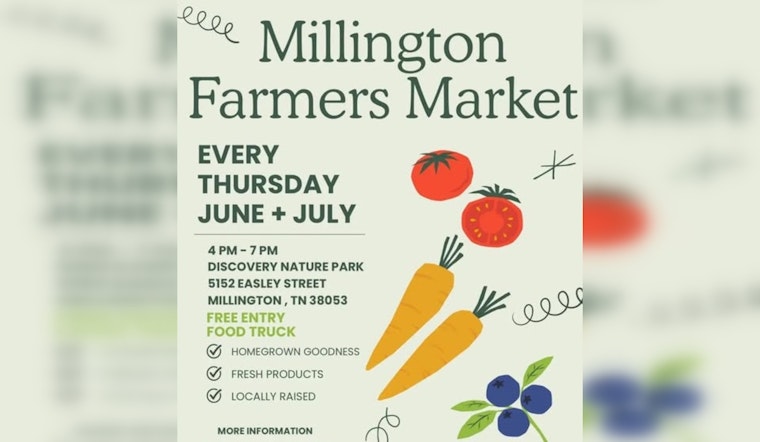 Final Day to Savor Local Delights at the Millington Farmers Market Before Season Ends