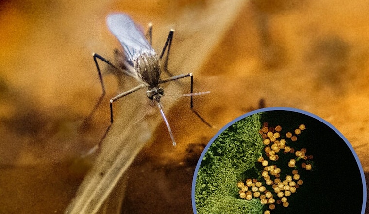 First Human Case of West Nile Virus Confirmed in Salt Lake County This Year