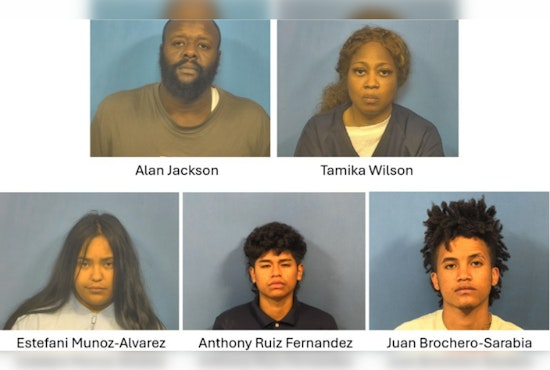 Five Charged with Retail Theft and Burglary in Oak Brook, DuPage Officials Report