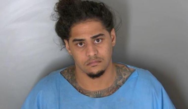 Florida Man Bound Over to Circuit Court on 12 Felony Charges After Shelby Township Carjacking Incident