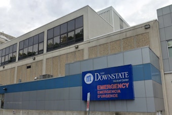 Former SUNY Downstate Medical Chairman Sentenced for Stealing $1.44 Million to Fund Luxury Lifestyle