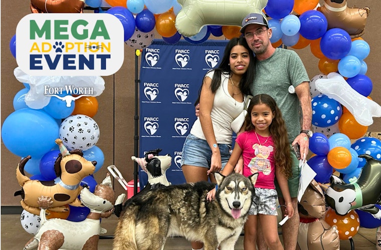Fort Worth Embraces Pet Adoption as 760 Animals Find Homes at Humane Society's MEGA Event