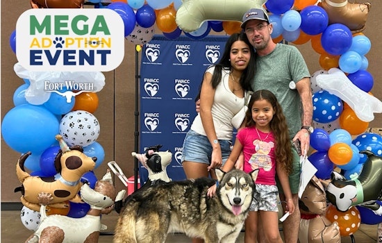 Fort Worth Embraces Pet Adoption as 760 Animals Find Homes at Humane Society's MEGA Event