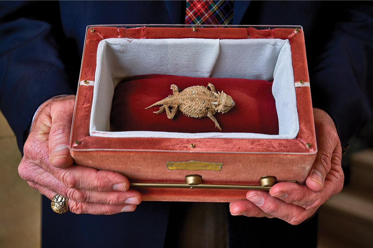Texas Rangers Frog Fort Worth Zoo Spearheads Conservation of Texas Horned Frog, Aiding