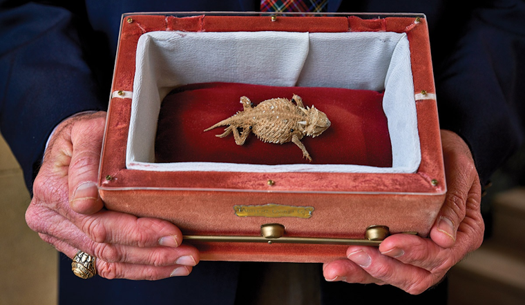 Fort Worth Zoo Spearheads Conservation of Texas Horned Frog, Aiding the Species' Comeback in the Wild