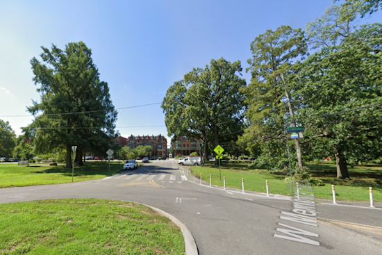 Four Men Injured by Falling Tree Branch During Dominoes Game in Philadelphia's Fairmount Park