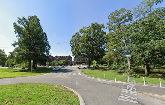 Four Men Injured by Falling Tree Branch During Dominoes Game in Philadelphia's Fairmount Park