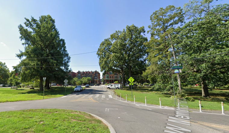 Four Men Injured by Falling Tree Branch During Dominoes Game in Philadelphia's Fairmount Park