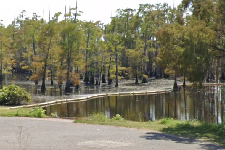 Four Winnfield Men Cited for Illegal Alligator Hunting in Louisiana's Saline Lake
