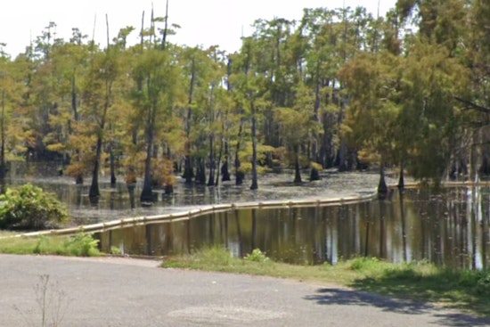 Four Winnfield Men Cited for Illegal Alligator Hunting in Louisiana's Saline Lake