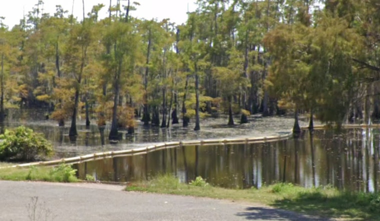 Four Winnfield Men Cited for Illegal Alligator Hunting in Louisiana's Saline Lake