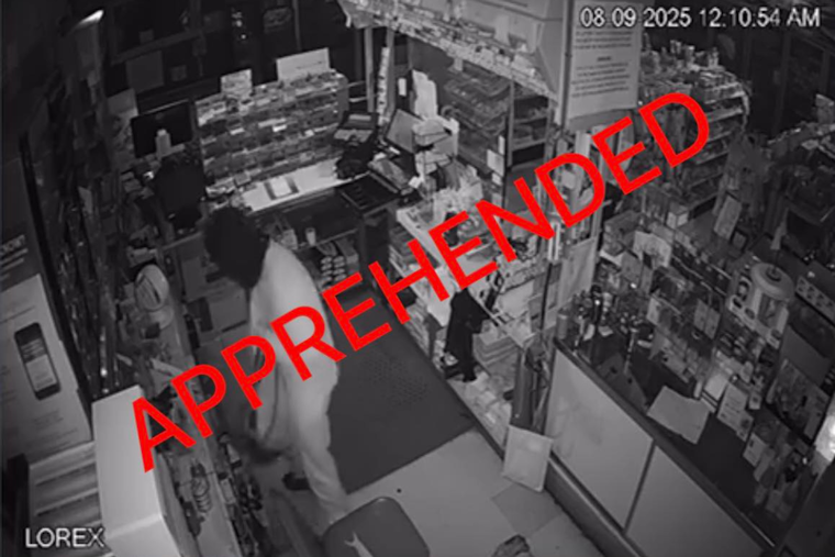 Franklin County Deputies Thwart Late-Night Smash-and-Grab Spree, Juvenile Suspect Apprehended and Confesses