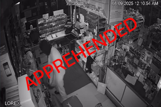 Franklin County Deputies Thwart Late-Night Smash-and-Grab Spree, Juvenile Suspect Apprehended and Confesses