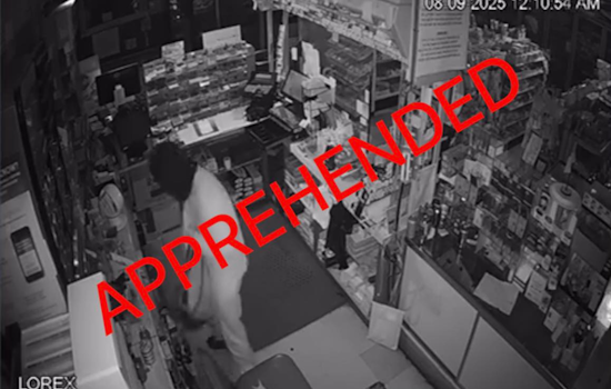 Franklin County Deputies Thwart Late-Night Smash-and-Grab Spree, Juvenile Suspect Apprehended and Confesses