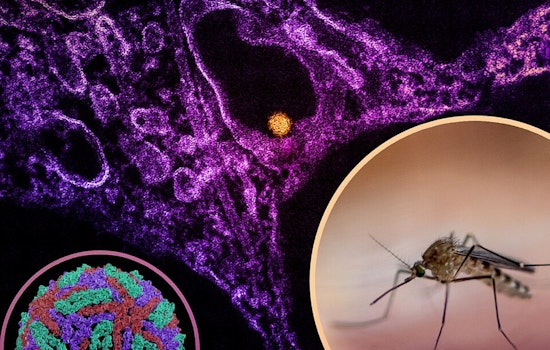Franklin County to Conduct Mosquito Spraying in Dublin Amid West Nile Virus Concerns