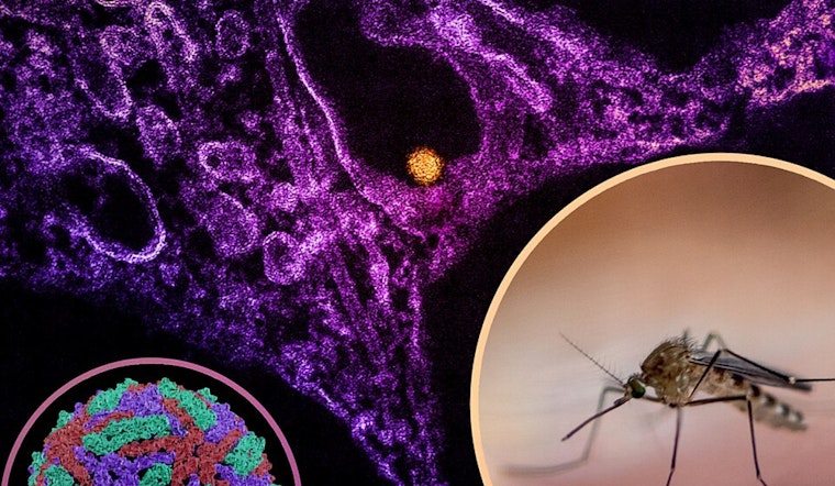 Franklin County to Conduct Mosquito Spraying in Dublin Amid West Nile Virus Concerns