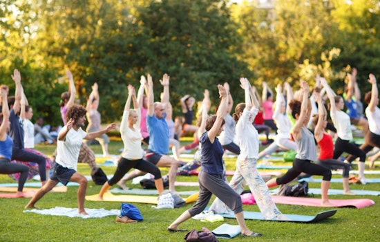 Free 'Yoga in the Park' Session Offers a Peaceful Start to Your Day in Raleigh's Moore Square
