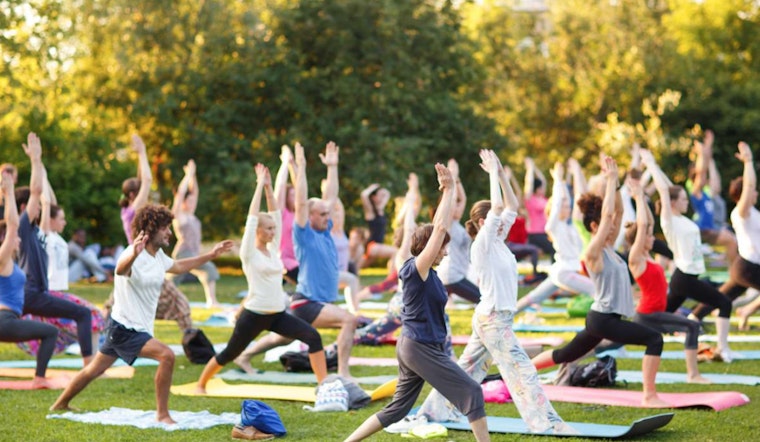 Free 'Yoga in the Park' Session Offers a Peaceful Start to Your Day in Raleigh's Moore Square