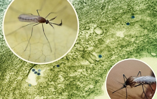 Gahanna to Begin Mosquito Spraying at Dusk Amid West Nile Virus Concerns