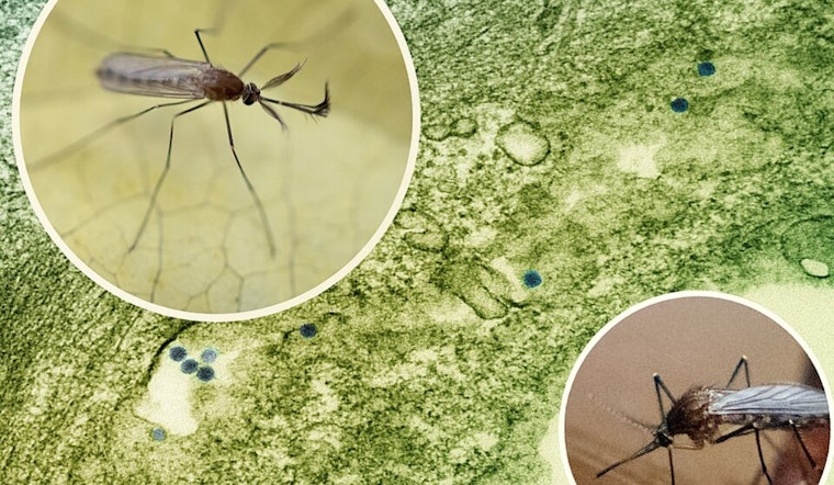 Gahanna to Begin Mosquito Spraying at Dusk Amid West Nile Virus Concerns