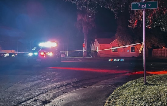Galt Teenager Survives Non-Fatal Shooting, Police Seek Suspect in Ongoing Investigation