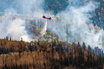 Garkane Energy Swiftly Replaces 12 Power Poles Post-Monroe Canyon Fire, Restoring Stability to Wayne County Grid