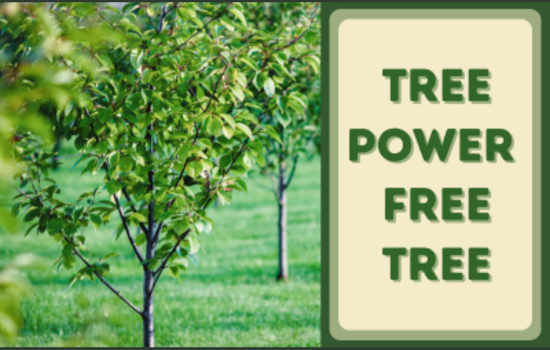Garland Kicks Off "Tree Power Free Tree Giveaway 2025" to Promote Energy Savings and Beautify Neighborhoods