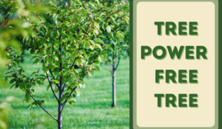 Garland Kicks Off "Tree Power Free Tree Giveaway 2025" to Promote Energy Savings and Beautify Neighborhoods