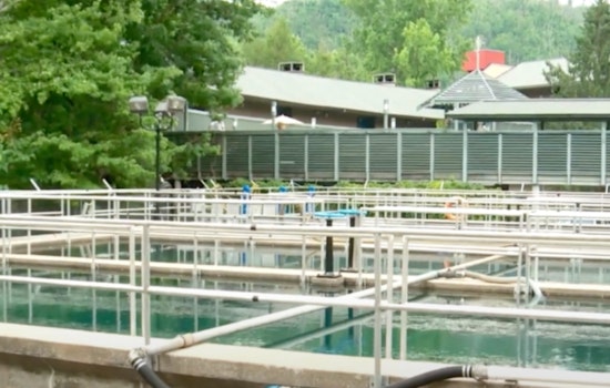 Gatlinburg to Continue Water Fluoridation Following Community and Expert Support
