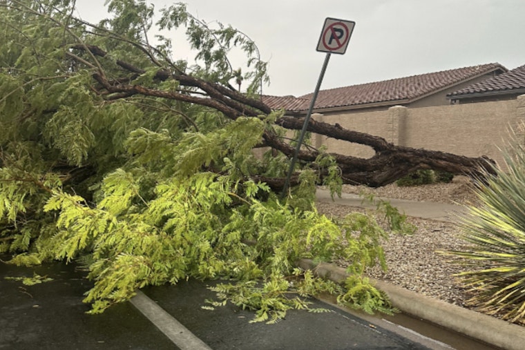Gilbert Works to Restore Normalcy After Storm, Crews Manage Downed Trees and Traffic Issues