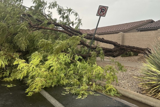 Gilbert Works to Restore Normalcy After Storm, Crews Manage Downed Trees and Traffic Issues