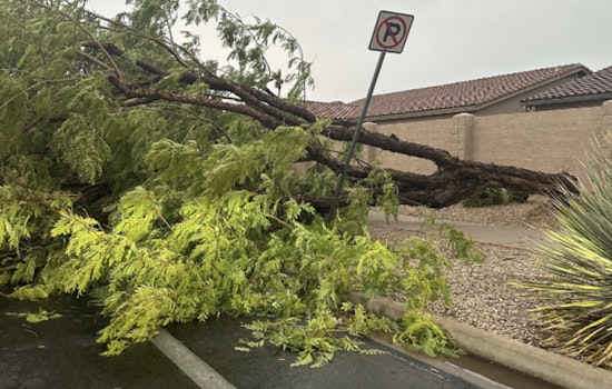 Gilbert Works to Restore Normalcy After Storm, Crews Manage Downed Trees and Traffic Issues