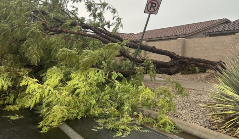 Gilbert Works to Restore Normalcy After Storm, Crews Manage Downed Trees and Traffic Issues